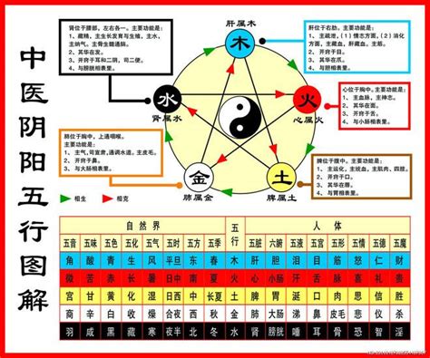 金 木 水 火 土 相生相克|一分钟记住，五行相生相克。